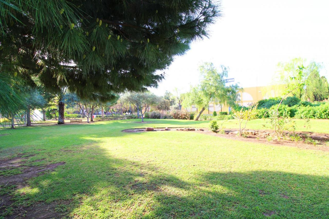 Global Properties, Apartamento Con Piscina Y Terraza En Canet Playa Canet d'En Berenguer Dış mekan fotoğraf